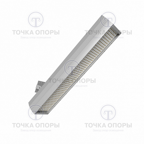 Светодиодный светильник ДКУ 02-100-001 